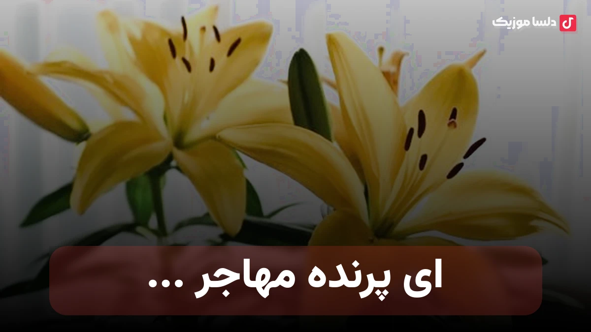 ای پرنده مهاجر ای پر از شهوت رفتن صدای زن هوش مصنوعی